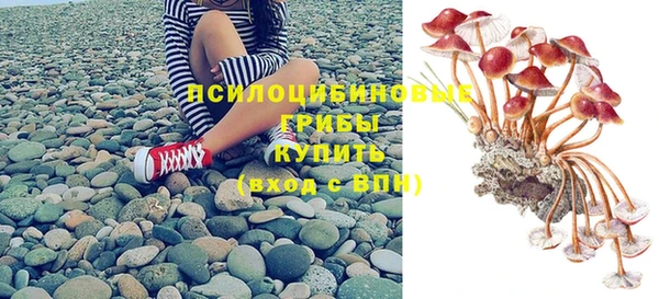 дурь Абаза