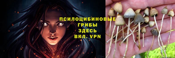 дурь Абаза