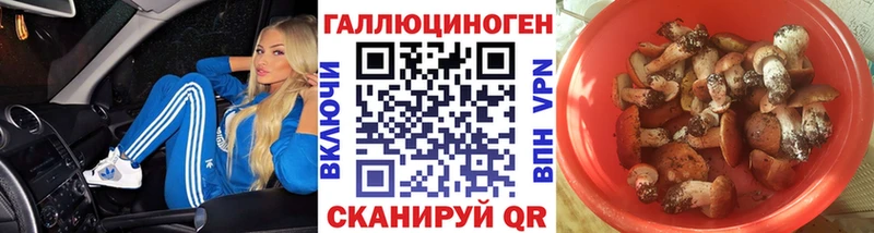 Псилоцибиновые грибы мухоморы  купить наркотик  Абакан 