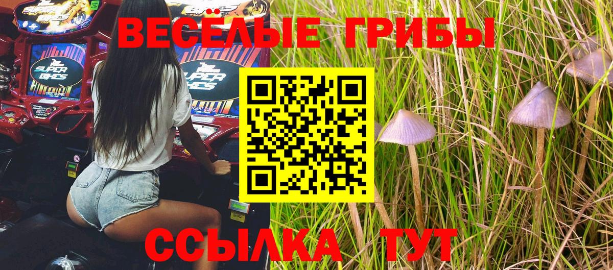 Абакан  Псилоцибиновые грибы Psilocybe  Вход с VPN 